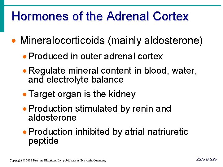 Hormones of the Adrenal Cortex · Mineralocorticoids (mainly aldosterone) · Produced in outer adrenal