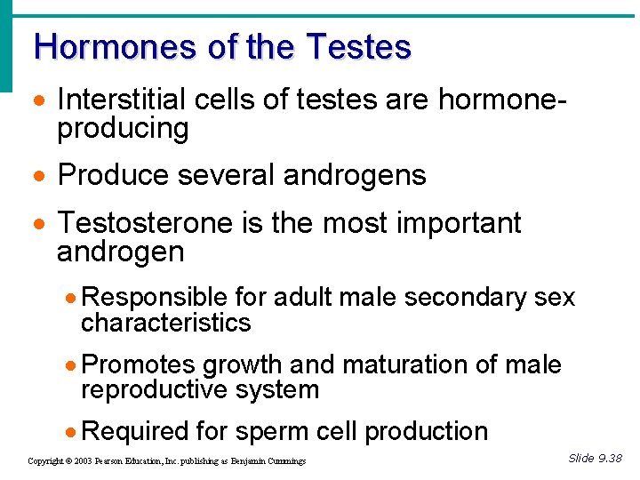 Hormones of the Testes · Interstitial cells of testes are hormoneproducing · Produce several