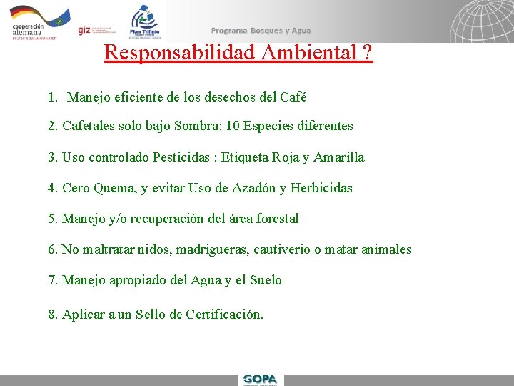 Establecimiento De Plantaciones De Caf Bajo Sombra William