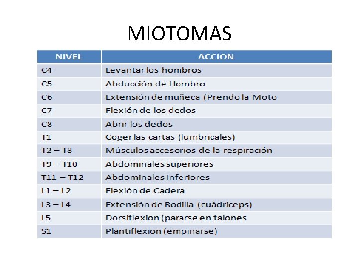 MIOTOMAS 