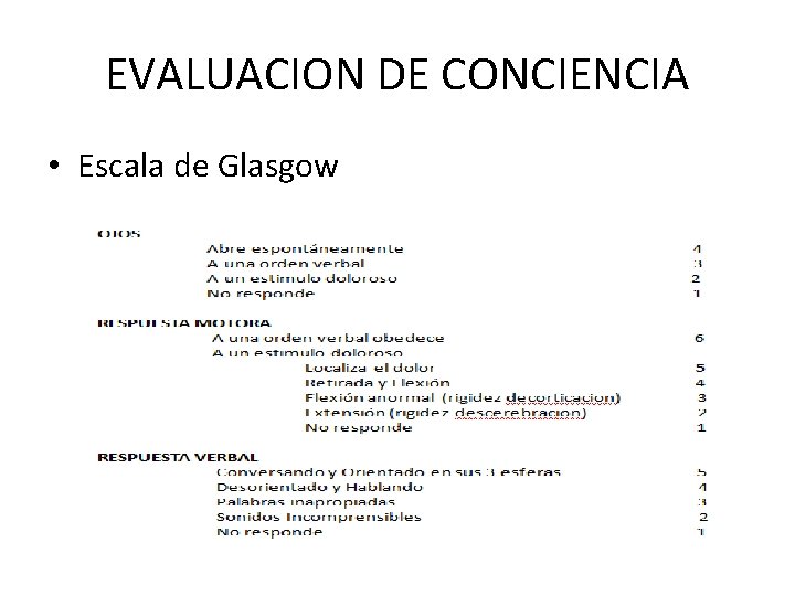 EVALUACION DE CONCIENCIA • Escala de Glasgow 
