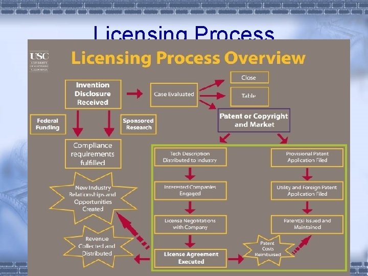 Licensing Process 