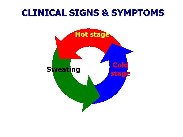 CLINICAL SIGNS & SYMPTOMS Hot stage Sweating Cold stage 