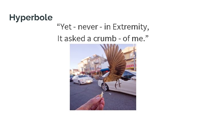Hyperbole “Yet - never - in Extremity, It asked a crumb - of me. Hyperbole “Yet - never - in Extremity, It asked a crumb - of me.