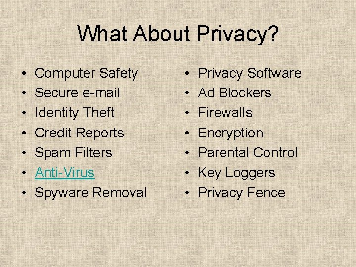 What About Privacy? • • Computer Safety Secure e-mail Identity Theft Credit Reports Spam