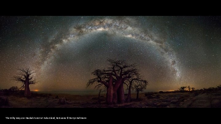 The Milky Way over Baobab Forest at Kubu Island, Botswana © Darryn Haltmann 