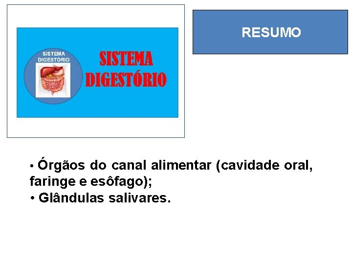 RESUMO • Órgãos do canal alimentar (cavidade oral, faringe e esôfago); • Glândulas salivares.