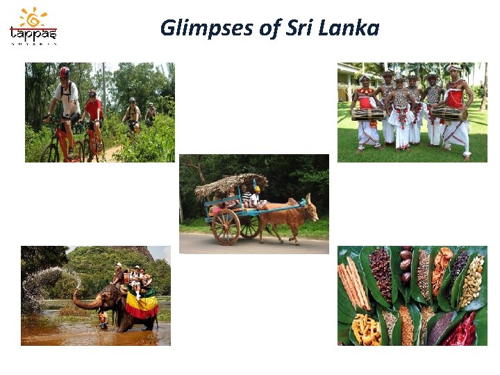 Glimpses of Sri Lanka 