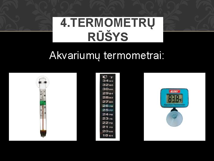 4. TERMOMETRŲ RŪŠYS Akvariumų termometrai: 