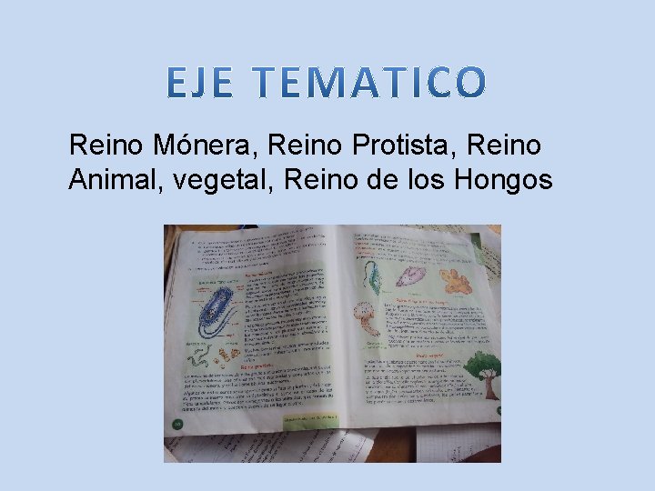 Reino Mónera, Reino Protista, Reino Animal, vegetal, Reino de los Hongos 