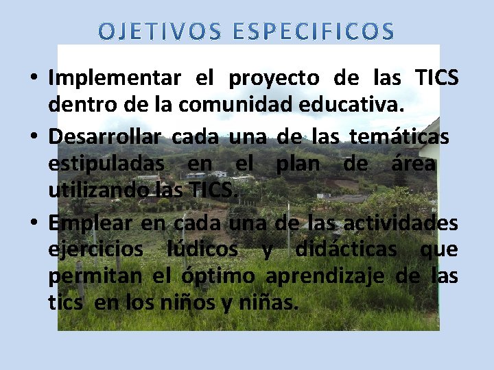  • Implementar el proyecto de las TICS dentro de la comunidad educativa. •