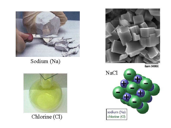 Sodium (Na) Na. Cl Chlorine (Cl) 