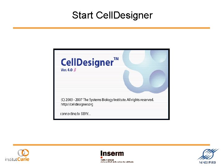Start Cell. Designer 