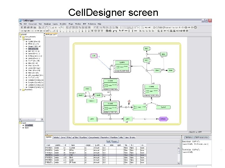 Cell. Designer screen 