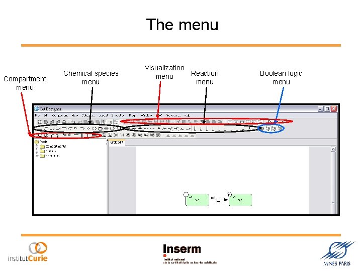 The menu Compartment menu Chemical species menu Visualization Reaction menu Boolean logic menu 