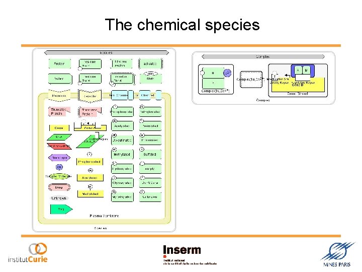 The chemical species 