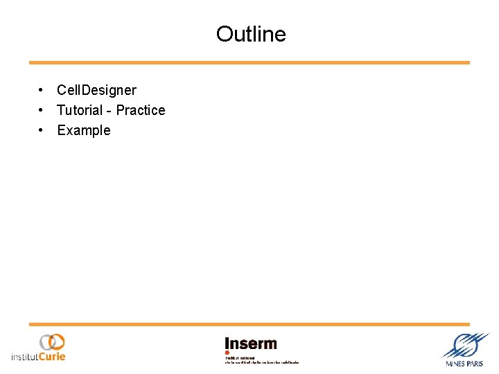 Outline • Cell. Designer • Tutorial - Practice • Example 