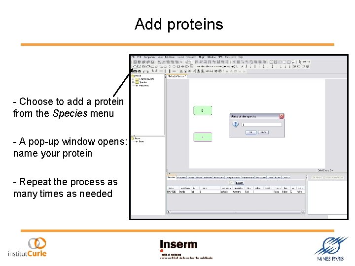 Add proteins - Choose to add a protein from the Species menu - A