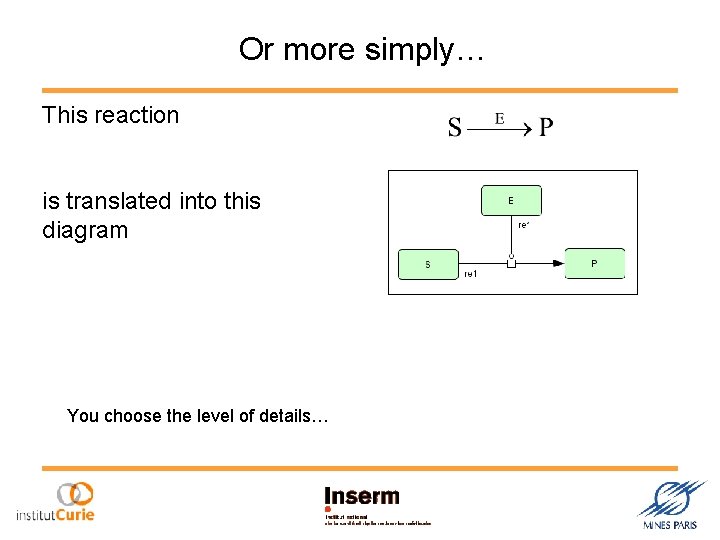 Or more simply… This reaction is translated into this diagram You choose the level