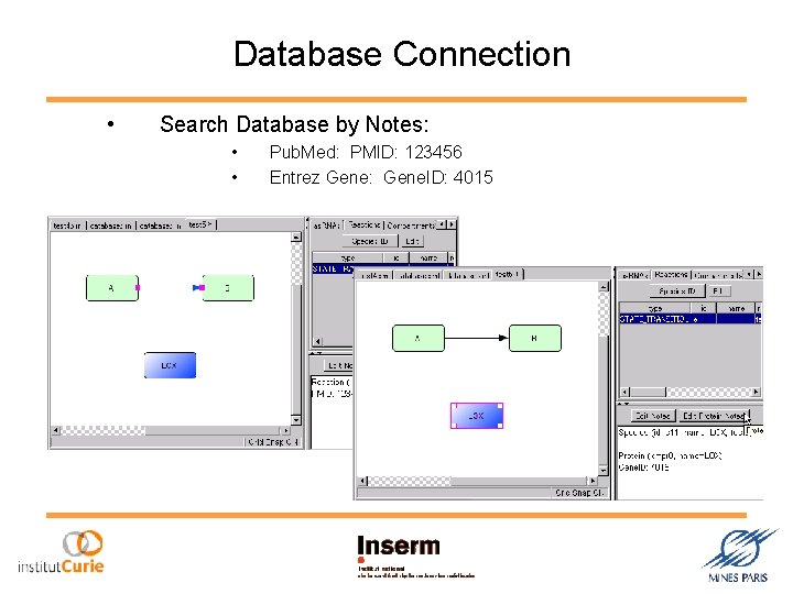 Database Connection • Search Database by Notes: • • Pub. Med: PMID: 123456 Entrez