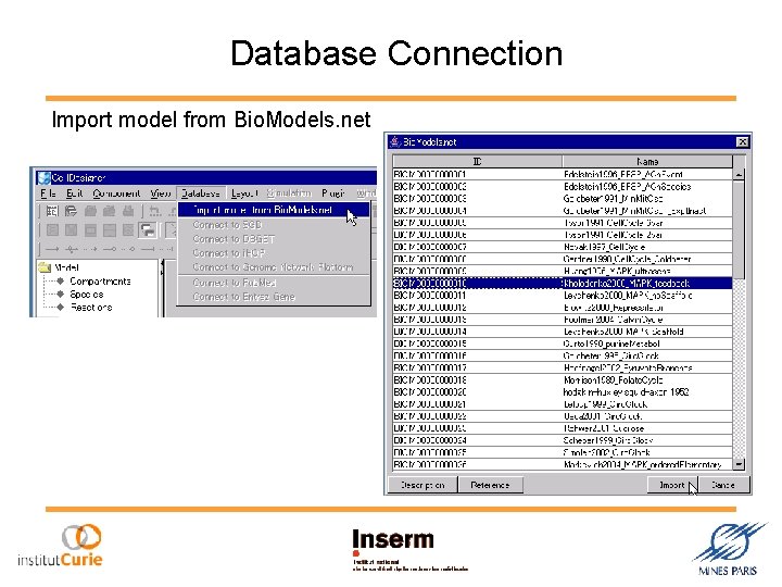 Database Connection Import model from Bio. Models. net 