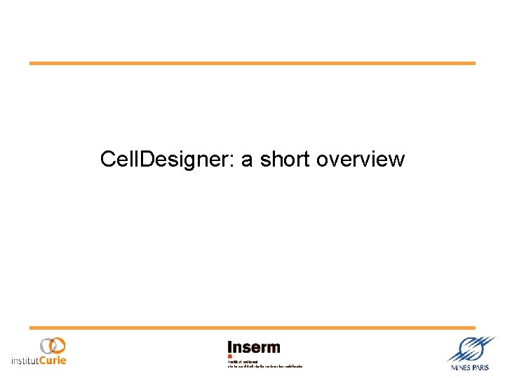Cell. Designer: a short overview 