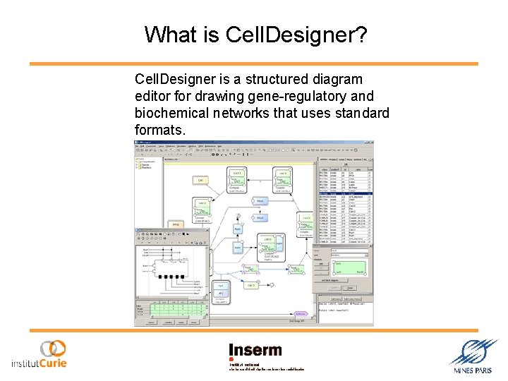 What is Cell. Designer? Cell. Designer is a structured diagram editor for drawing gene-regulatory