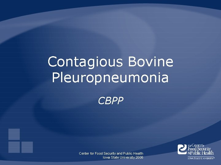 Contagious Bovine Pleuropneumonia CBPP Center for Food Security and Public Health Iowa State University