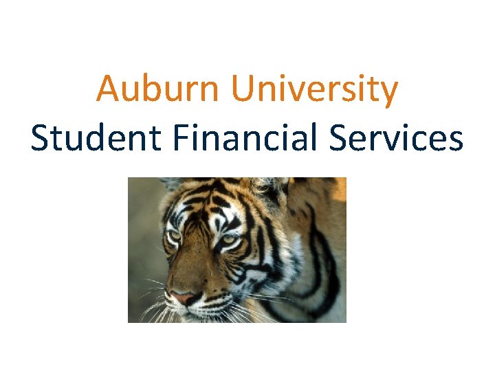 Auburn University Student Financial Services 