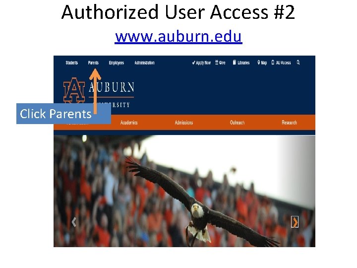 Authorized User Access #2 www. auburn. edu Click Parents 