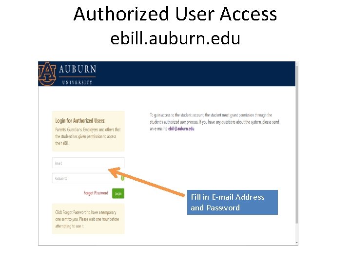 Authorized User Access ebill. auburn. edu Fill in E-mail Address and Password 