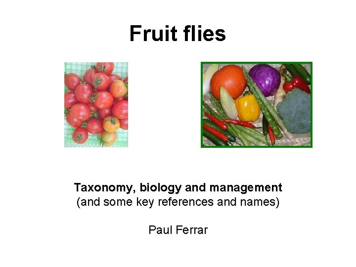 Fruit flies Taxonomy, biology and management (and some key references and names) Paul Ferrar