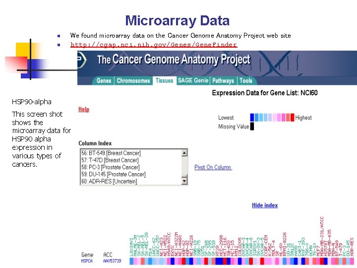 Microarray Data n n We found microarray data on the Cancer Genome Anatomy Project