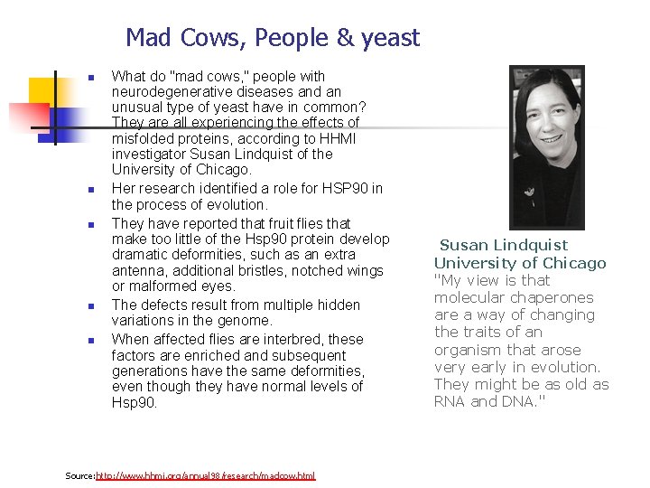 Mad Cows, People & yeast n n n What do "mad cows, " people