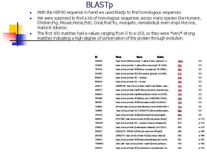 BLASTp n n n With the HSP 90 sequence in hand we used Blastp