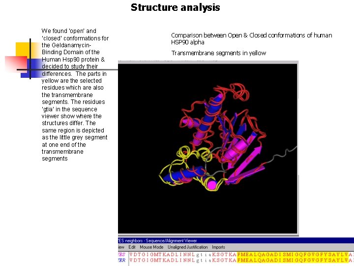 Structure analysis We found ‘open’ and ‘closed’ conformations for the Geldanamycin. Binding Domain of
