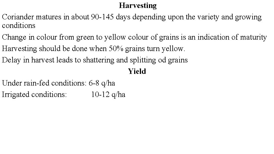 Harvesting Coriander matures in about 90 -145 days depending upon the variety and growing