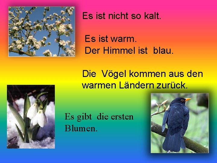 Es ist nicht so kalt. Es ist warm. Der Himmel ist blau. Die Vögel