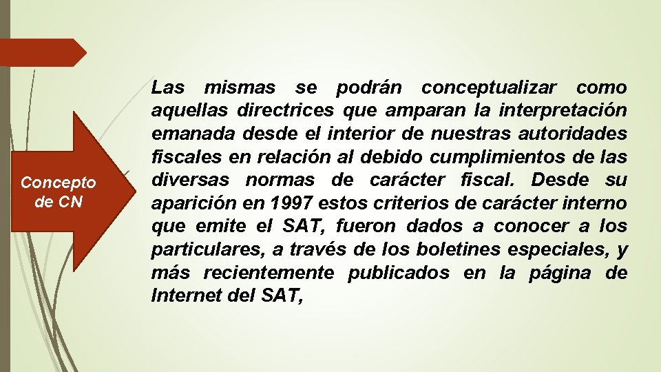 Concepto de CN Las mismas se podrán conceptualizar como aquellas directrices que amparan la