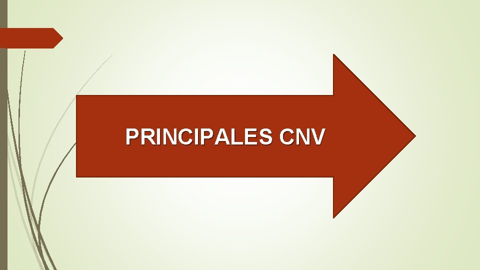 CLASIFICACIÓN PRINCIPALES CNV CLASIFICACIÓN PRINCIPALES CNV