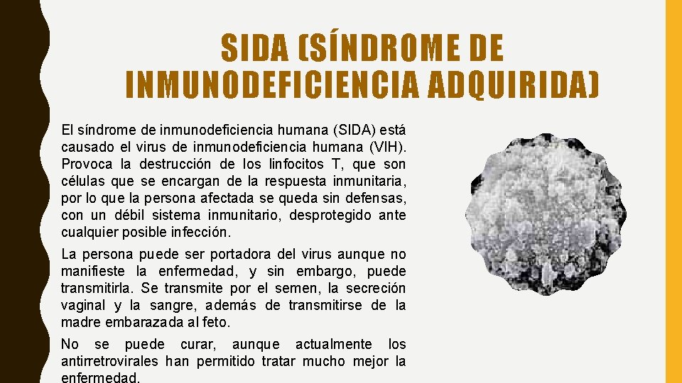 SIDA (SÍNDROME DE INMUNODEFICIENCIA ADQUIRIDA) El síndrome de inmunodeficiencia humana (SIDA) está causado el