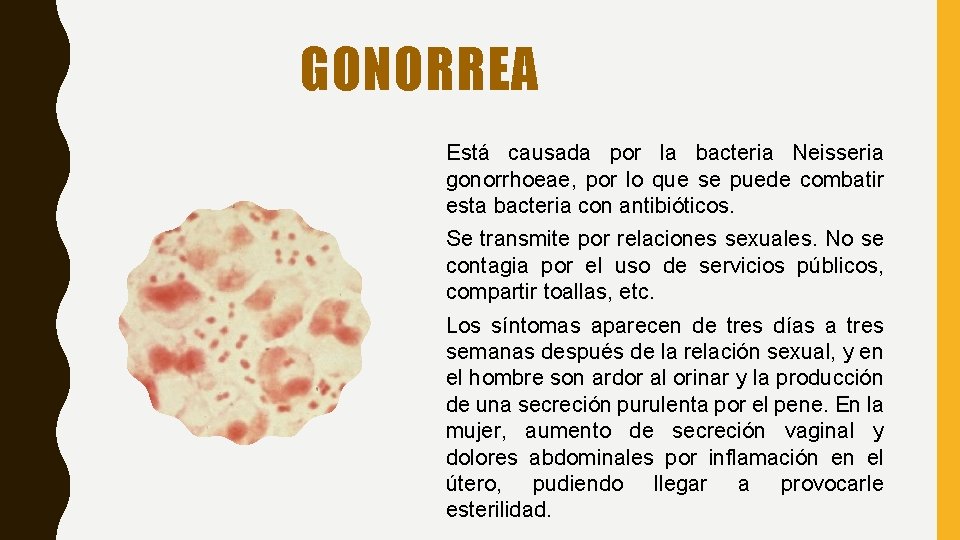 GONORREA Está causada por la bacteria Neisseria gonorrhoeae, por lo que se puede combatir