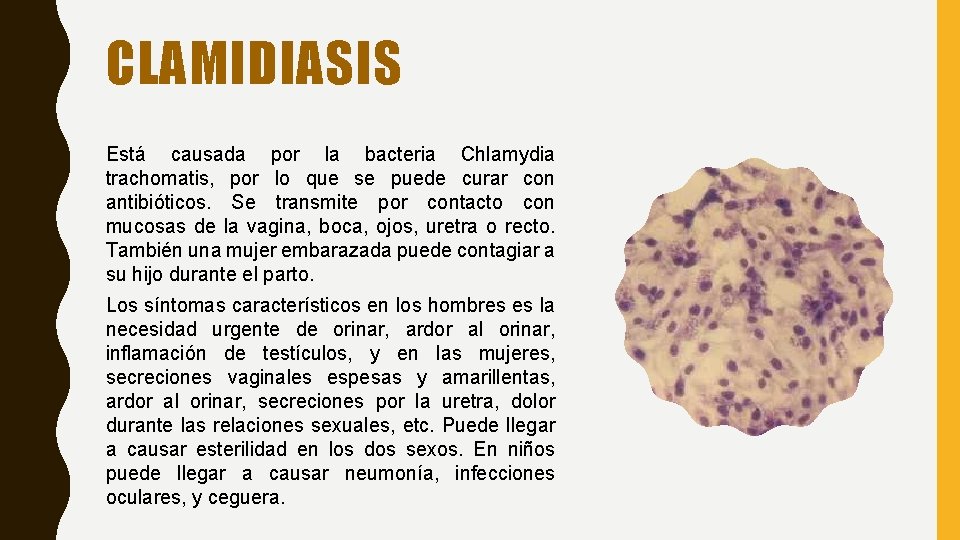 CLAMIDIASIS Está causada por la bacteria Chlamydia trachomatis, por lo que se puede curar