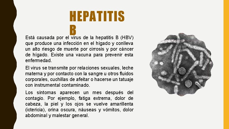 HEPATITIS B Está causada por el virus de la hepatitis B (HBV) que produce