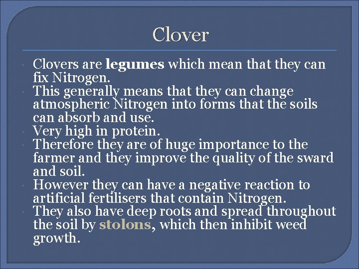 Clover Clovers are legumes which mean that they can fix Nitrogen. This generally means