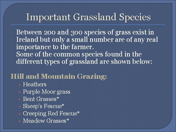 Important Grassland Species Between 200 and 300 species of grass exist in Ireland but