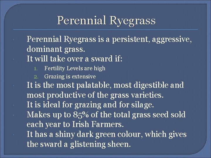 Perennial Ryegrass is a persistent, aggressive, dominant grass. It will take over a sward