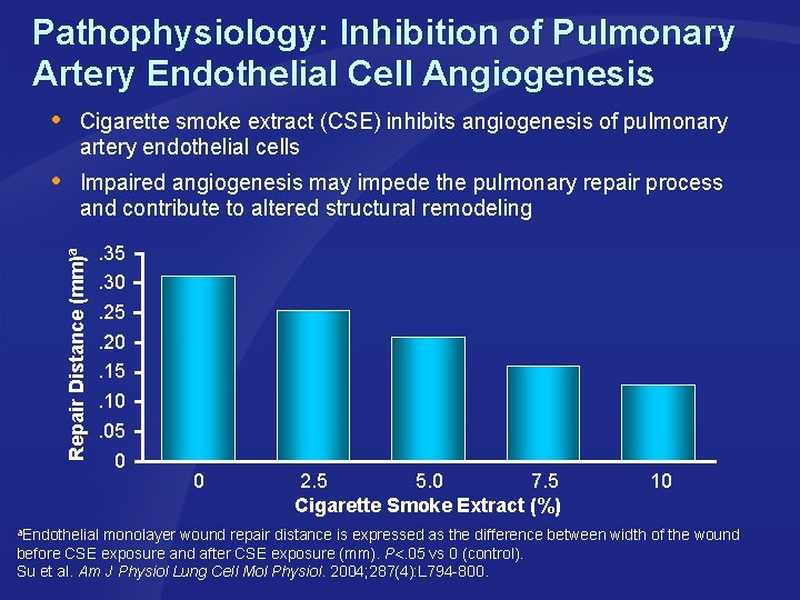 Pathophysiology: Inhibition of Pulmonary Artery Endothelial Cell Angiogenesis Cigarette smoke extract (CSE) inhibits angiogenesis