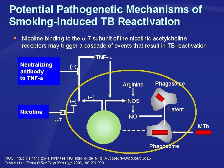 Potential Pathogenetic Mechanisms of Smoking-Induced TB Reactivation Nicotine binding to the -7 subunit of