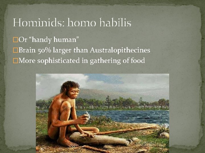 Hominids: homo habilis �Or “handy human” �Brain 50% larger than Australopithecines �More sophisticated in